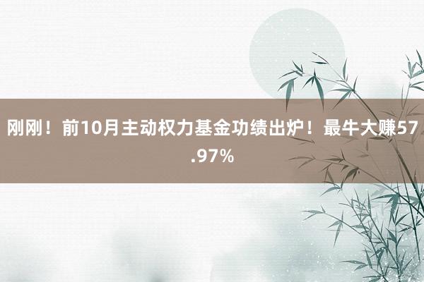 刚刚！前10月主动权力基金功绩出炉！最牛大赚57.97%