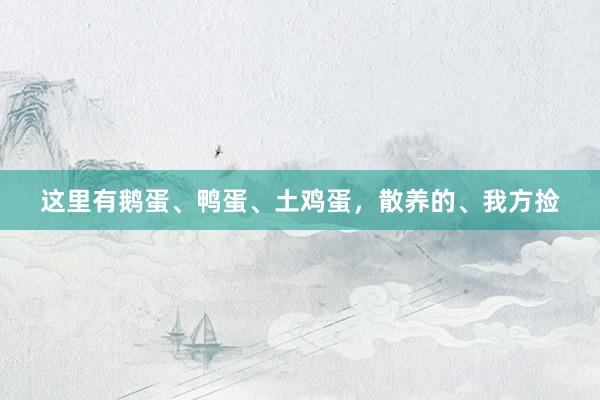 这里有鹅蛋、鸭蛋、土鸡蛋，散养的、我方捡